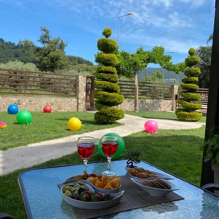 Aelia * Szkála Potamiász