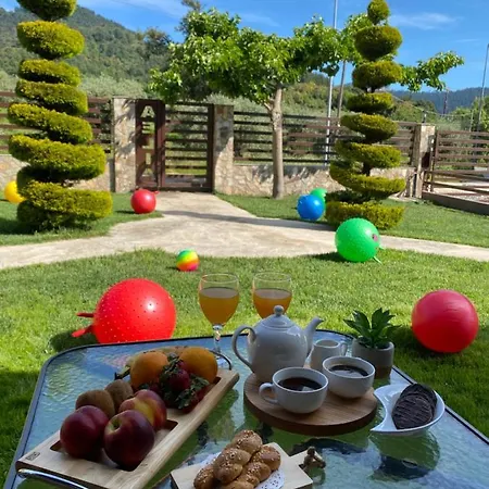 Aelia * Szkála Potamiász